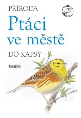 Ptáci ve městě - neuveden