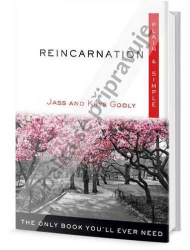 Reinkarnace: snadno a rychle - Godly Jass a Krys