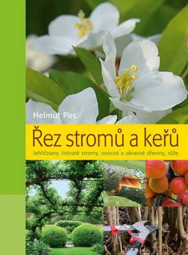 Řez stromů a keřů - Jehličnany