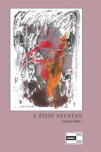 S žízní neustaň - Fišer Jakub - 12