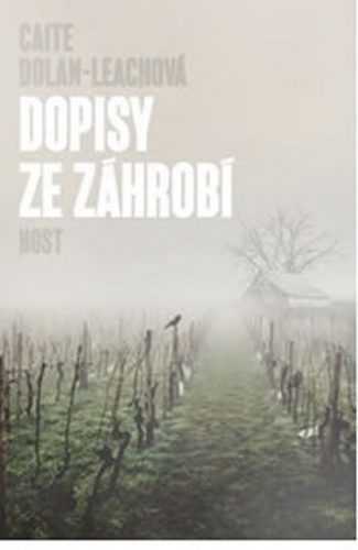 Sestry až za hrob - Dolan-Leachová Caite