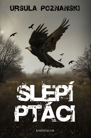 Slepí ptáci - Poznanski Ursula