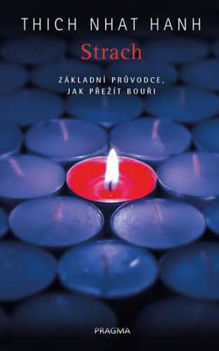 Strach. Základní průvodce