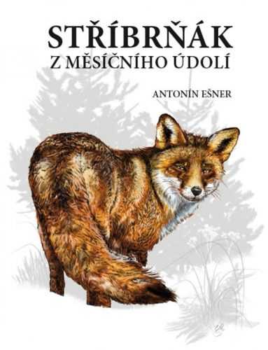 Stříbrňák z Měsíčního údolí - Ešner Antonín