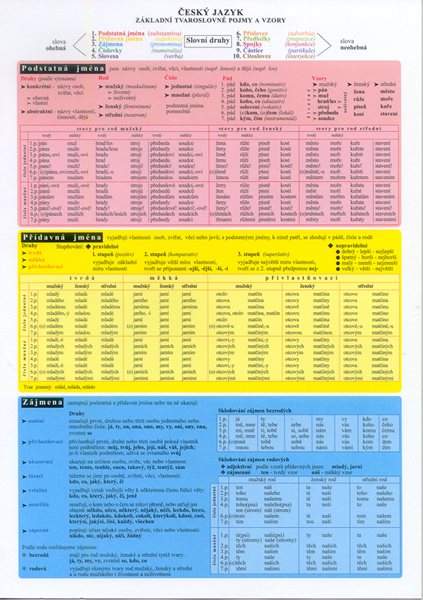 Tabulka ČJ - základní tvaroslovné pojmy a vzory - N - A4