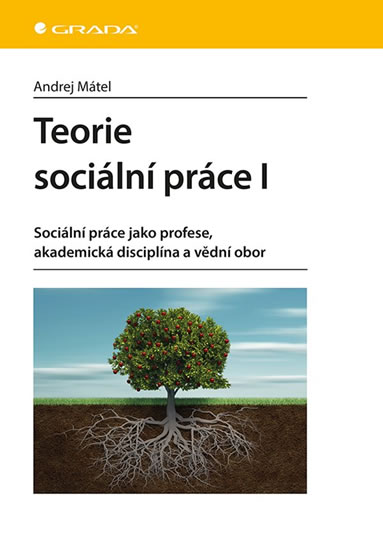 Teorie sociální práce I - Sociální práce jako profese