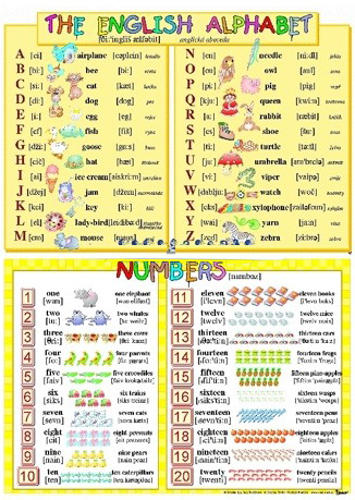 The English Alphabet/ Numbers