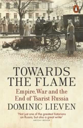 Towards the Flame - Lieven Dominic