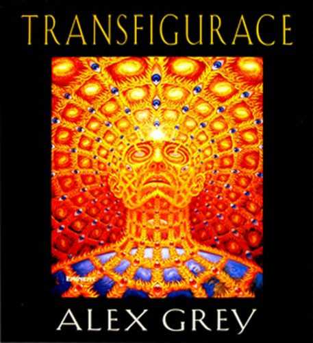 Transfigurace - Grey Alex - 27