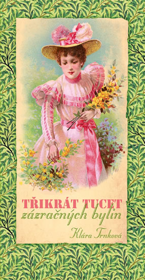 Třikrát tucet zázračných bylin - Trnková Klára