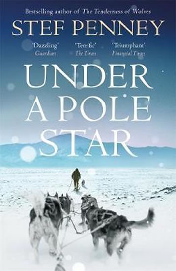 Under a Pole Star - Penney Stef