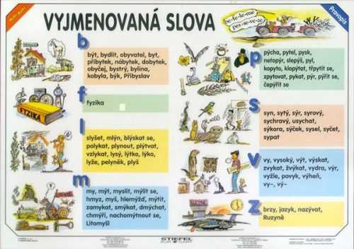 Vyjmenovaná slova/Slovní druhy - tabulka A4 - lamino (21 x 30 cm)