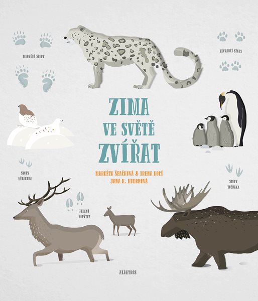Zima ve světě zvířat - Markéta Nováková
