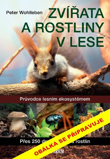 Zvířata a rostliny v lese - Wohlleben Peter
