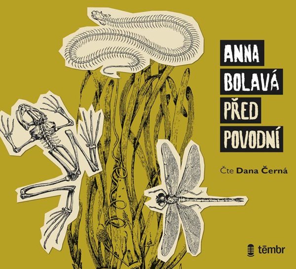 Před povodní - audioknihovna - Bolavá Anna