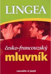Česko - francouzský mluvník - kolektiv autorů - 120 x 168 x 28 mm