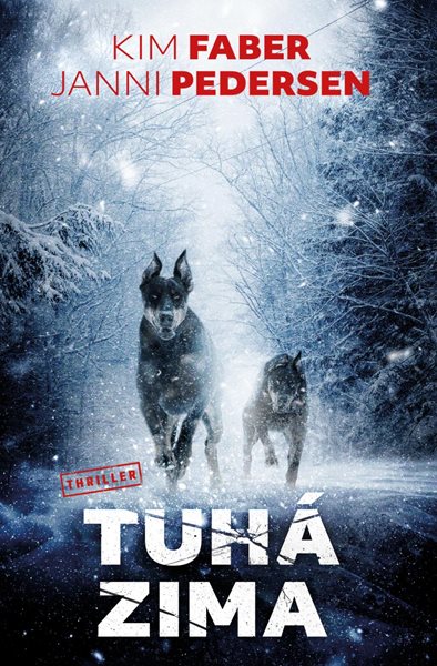 Tuhá zima - Faber Kim