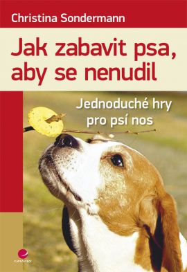 Jak zabavit psa