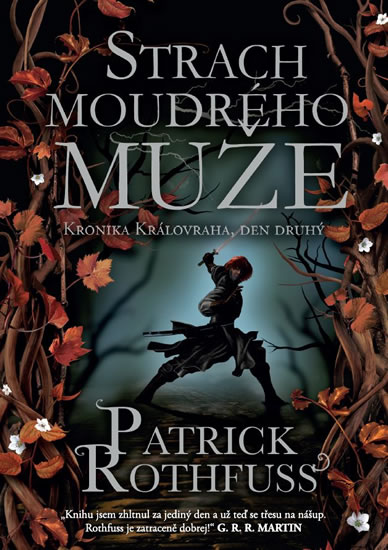 Strach moudrého muže - Kronika Královraha 2 - Rothfuss Patrick