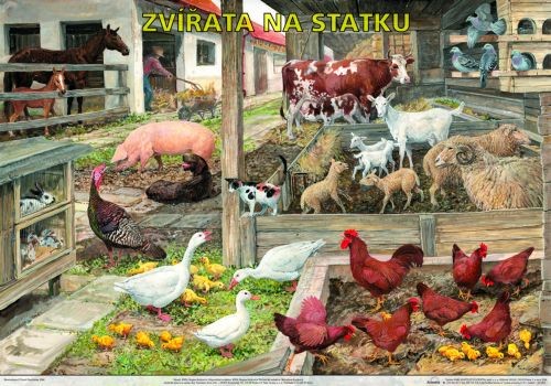 Zvířata na statku - výuková tabule - 96x67 cm