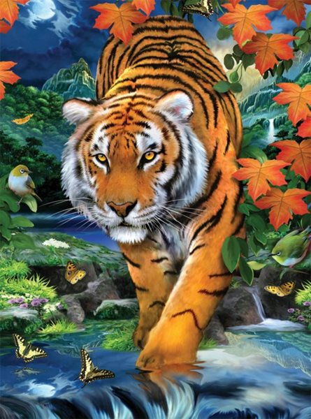 Malování podle čísel 22x30 cm - Tygr
