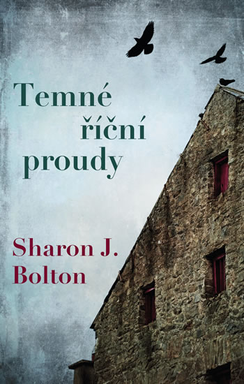 Temné říční proudy - Bolton Sharon J.