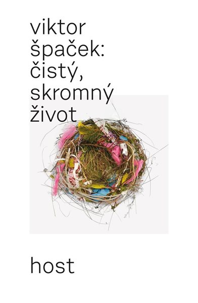 Čistý