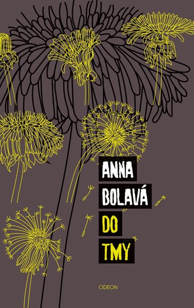 Do tmy - Bolavá Anna
