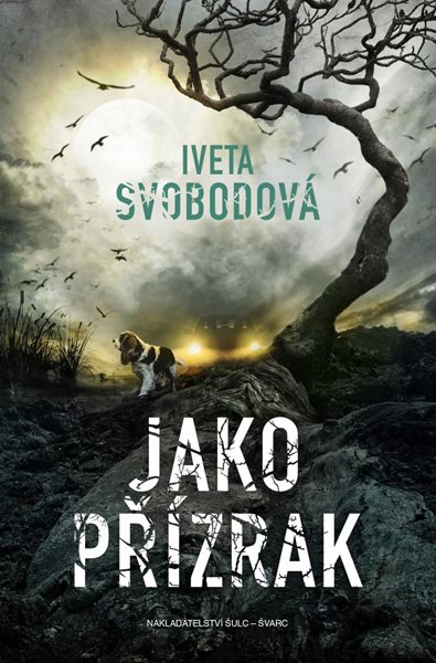 Jako přízrak - Svobodová Iveta