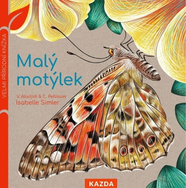 Malý motýlek - Velmi přírodní knížka - Aladjidi Virginie