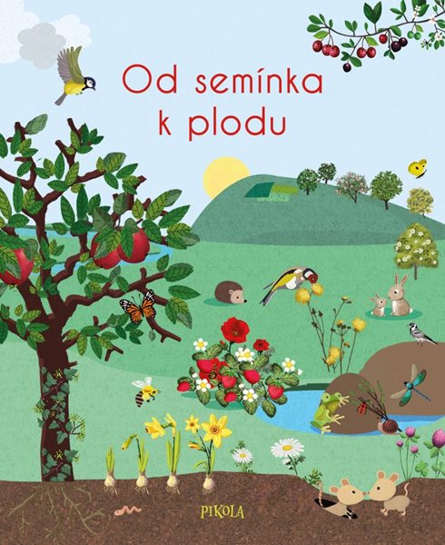 Od semínka k plodu - Colas des Francs Nicole