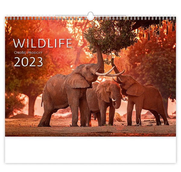 Kalendář nástěnný 2023 Exclusive Edition - Wildlife - 48