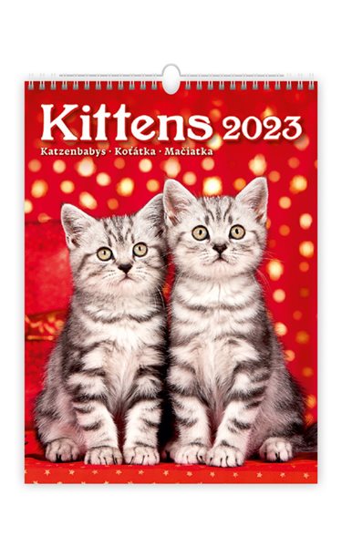 Kalendář nástěnný 2023 - Kittens/Katzenbabys/Koťátka/Mačičky - 24x33 cm