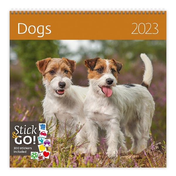 Kalendář nástěnný 2023 Label your days - Dogs - 30x30 cm