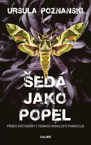 Šedá jako popel - Poznanski Ursula