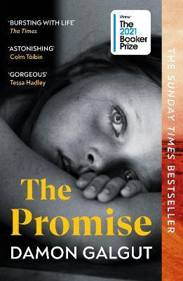 The Promise - Galgut Damon
