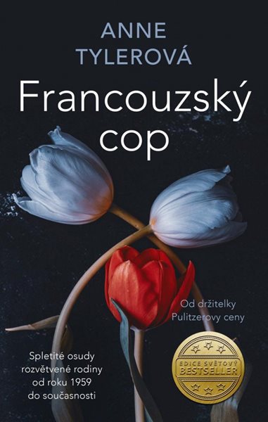 Francouzský cop - Tylerová Anne