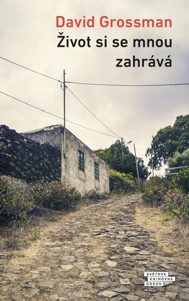 Život si se mnou zahrává - Grossman David