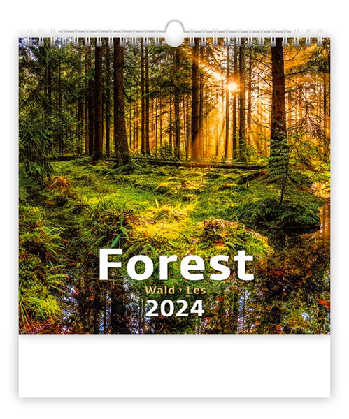 Kalendář nástěnný 2024 - Forest/Wald/Les - 30 × 37 cm