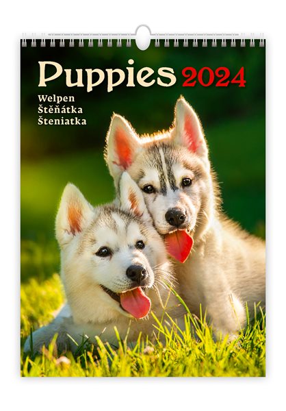 Kalendář nástěnný 2024 - Puppies/Welpen/Štěňátka/Šteniatka - 24x33 cm