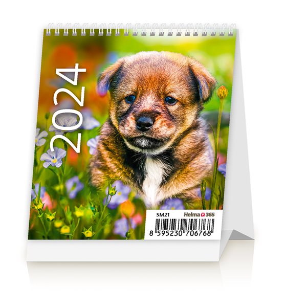 Kalendář stolní 2024 - Mini Puppies - 9
