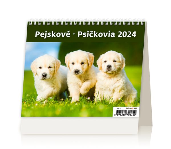 Kalendář stolní 2024 - MiniMax Pejskové/Psíčkovia - 17