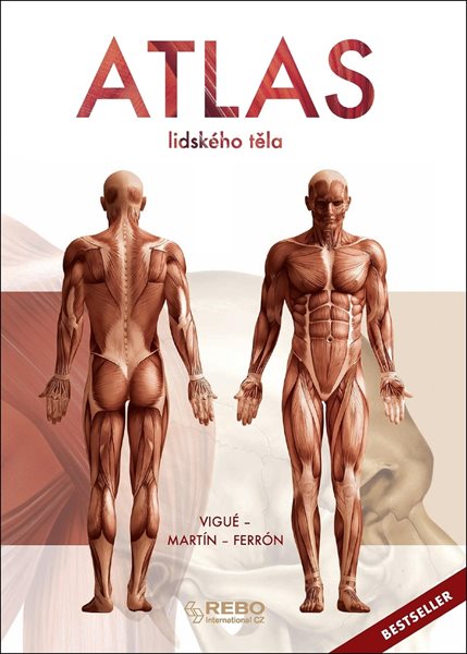 Atlas lidského těla - Jordi Vigué - 24x33 cm