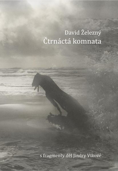 Čtrnáctá komnata - Železný David