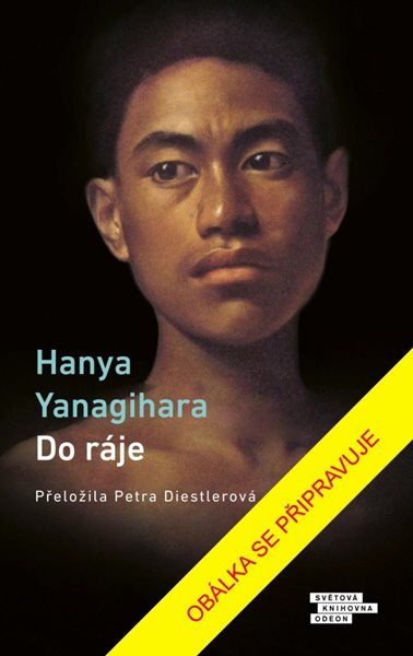 Do ráje - Yanagihara Hanya