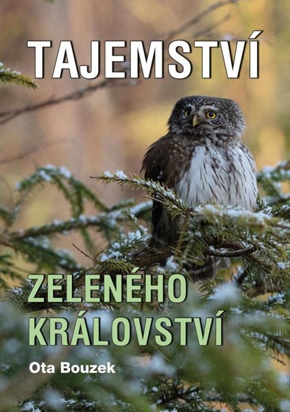 Tajemství zeleného království - Bouzek Ota
