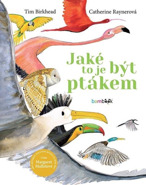 Jaké to je být ptákem - Birkhead Tim