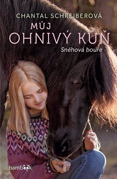 Můj ohnivý kůň 2 – Sněhová bouře - Schreiberová Chantal