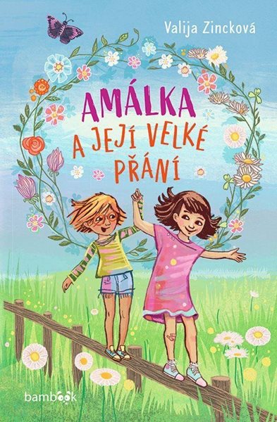 Amálka a její velké přání - Zincková Valja