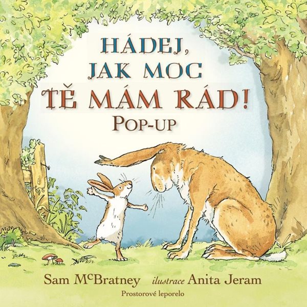 Hádej